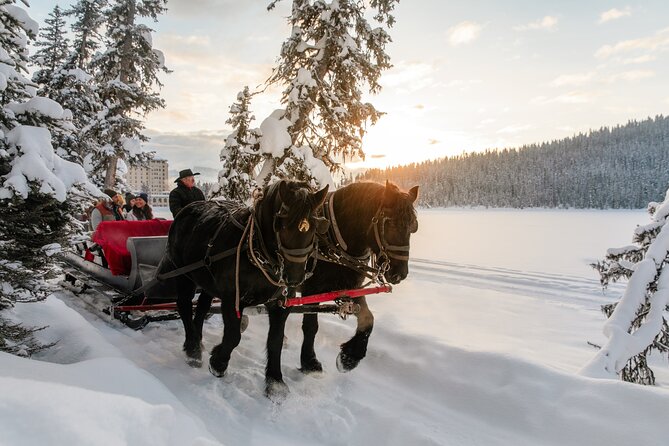 Winter Trip: Lake Louise, Marble Canyon, Emerald Lake, Banff - Lunch near Lake Louise