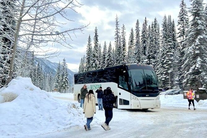 Winter Trip: Lake Louise, Marble Canyon, Emerald Lake, Banff - Is $88.90 a good price?
