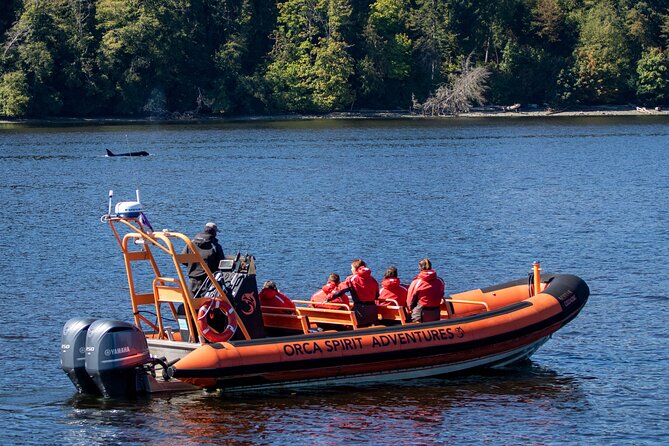 Winter Victoria Whale and Wildlife Zodiac Tour - Winter comfort and the rain-or-shine policy