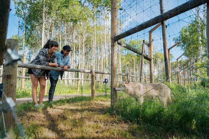 Yamnuska Wolfdog Sanctuary Walk Ticket in Canada - Weather, seasons, and the Rocky Mountain setting