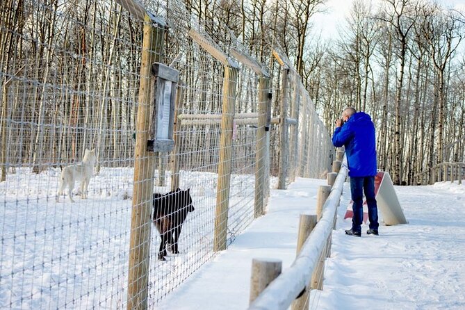 Yamnuska Wolfdog Sanctuary Walk Ticket in Canada - Who will enjoy this sanctuary most
