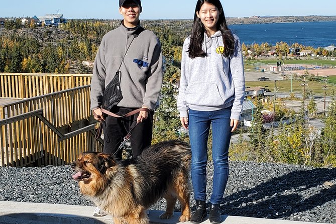 Yellowknife Bucket List City Tours - What the vehicle and group format add