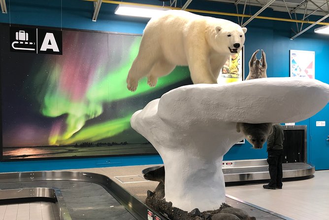 Yellowknife City Tour + Nature's North Wildlife Gallery - Climbing to the Bush Pilots Monument