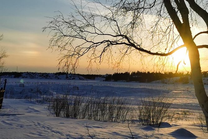 Yellowknife City Tour + Nature's North Wildlife Gallery - Old Town and N’dilo, where the city’s story gets more personal