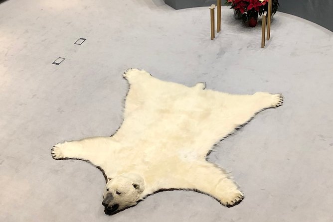 Yellowknife City Tour + Nature's North Wildlife Gallery - Guides, languages, and the feel of the visit