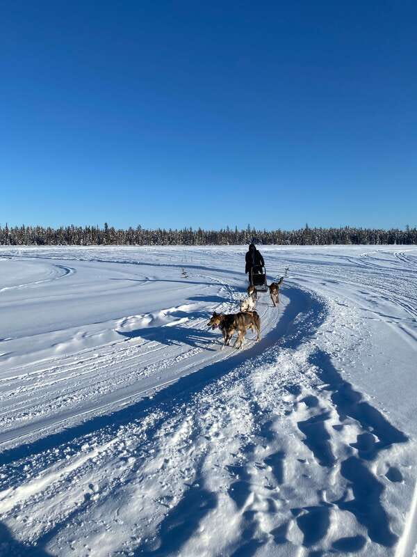 Yellowknife: Dog Sledding Tour - Leaving Yellowknife for the snowy backcountry