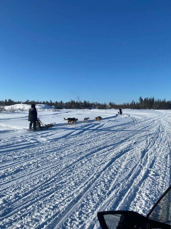 Yellowknife: Dog Sledding Tour - Learning the Indigenous history of dog sledding