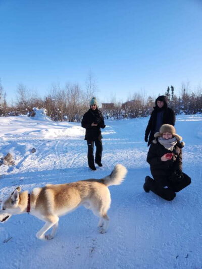 Dog Sledding Tour