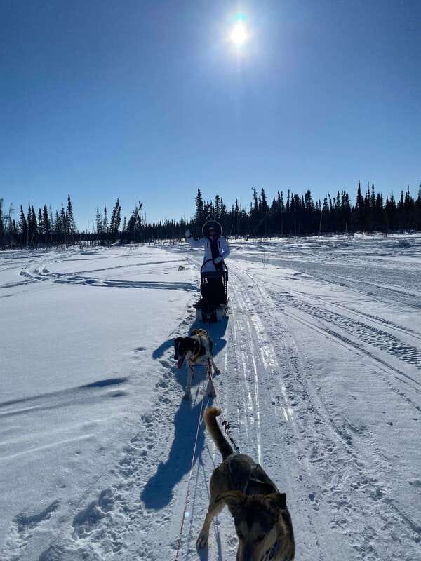 Yellowknife: Dog Sledding Tour - Warming up with tea and bannock