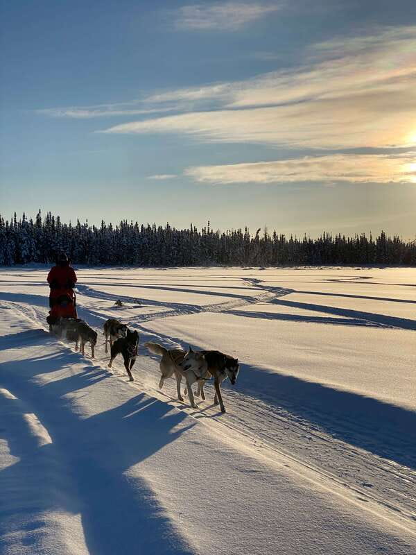 Yellowknife: Dog Sledding Tour - Is $106 a fair price for one hour?