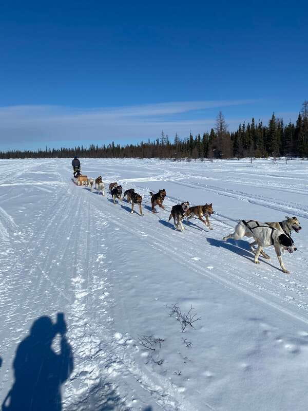 Yellowknife: Dog Sledding Tour - Who will enjoy this Yellowknife outing?