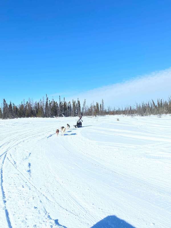Yellowknife: Dog Sledding Tour - Practical ways to prepare