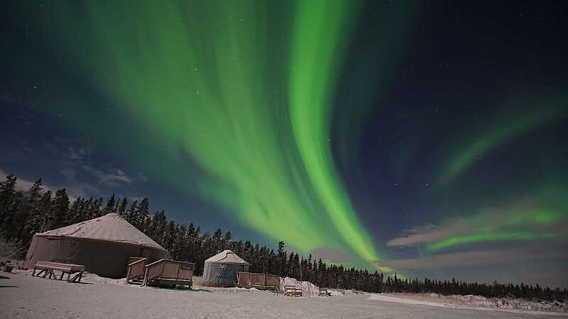 Yukon: Aurora Borealis Late Night Viewing Tour - Hot Drinks, Snacks, and a Better Winter Night