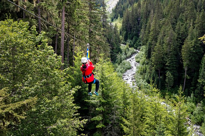 Zipline Adventure in Whistler - Whistler’s forest, seen from the cables