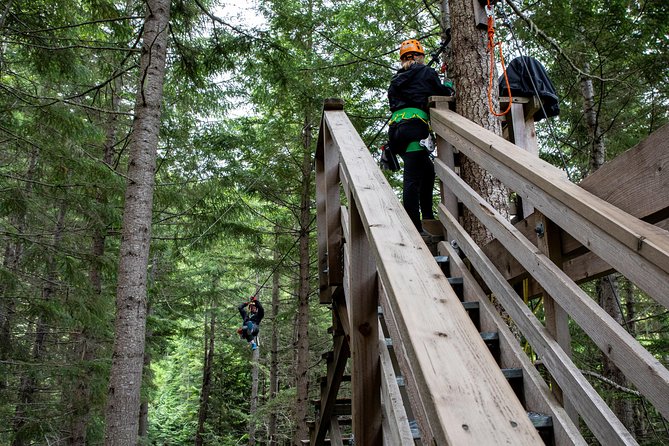 Zipline Adventure in Whistler - What happens on each line