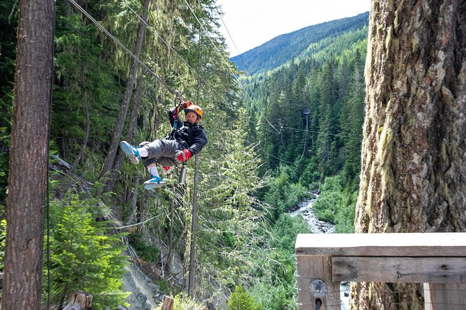 Zipline Adventure in Whistler - Who will enjoy this most?