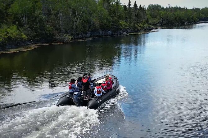 Zodiac Coastal Tour with Naturalist Guide: Lunenburg - Key points to know before you book